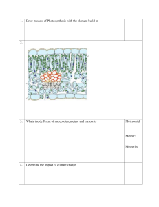 Science Workbook: Photosynthesis, Climate Change, Periodic Table