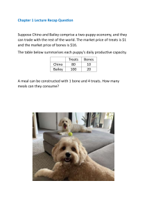 Chapter 1 Lecture Recap Question: Puppy Economy