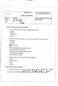 Grade 8 Biology Worksheet: Keeping a Foetus Healthy