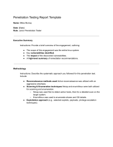 Penetration Testing Report Template
