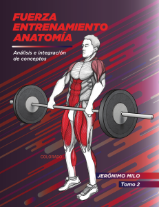 Fuerza, Entrenamiento y Anatom&iacute;a: An&aacute;lisis de Conceptos