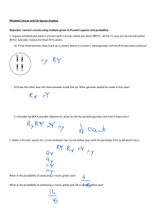 Dihybrid Crosses and Chi Square Analysis Worksheet