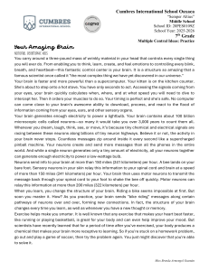 Your Amazing Brain: 7th Grade Reading Worksheet