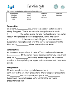 The Water Cycle Fill-in-the-Blanks Worksheet