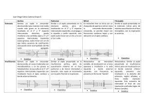 Gu&iacute;a de estudio de soplos card&iacute;acos