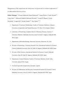Metagenomics of the tropical bont tick Amblyomma variegatum