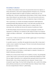 Snowflake Collection: Climate Change Essay