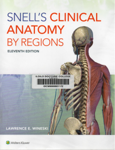 Snell's Clinical Anatomy by Regions 11th Edition Textbook