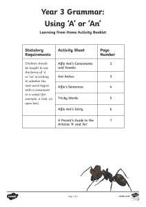 Year 3 Grammar: Using 'A' or 'An' Activity Booklet