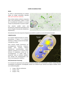Dise&ntilde;o de Biorreactores: Conceptos y Aplicaciones