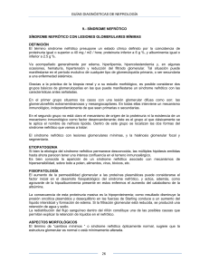 Nefrotico Sindrome Diagnostico Guia