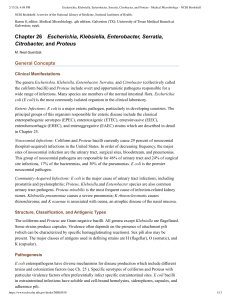Escherichia, Klebsiella, Enterobacter, Serratia, Citrobacter, and Proteus
