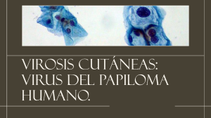 Virosis cut&aacute;neas: Virus del papiloma humano (HPV)