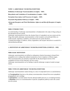 Adrenergic Neurotransmitters: Definition, Biosynthesis, Receptors