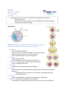 Biology Class Notes: Cell Replication (Mitosis, Meiosis, DNA)