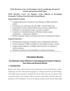 Business Cycle Efficiency in Developing Economies: Literature Review