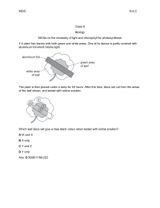 MCQs on Photosynthesis: Light & Chlorophyll