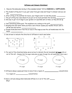 Diffusion and Osmosis Worksheet: Biology Practice Questions