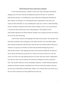 Shopping Cart Observation Homework Project