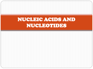 Nucleic Acids and Nucleotides - Structure, Types, Functions