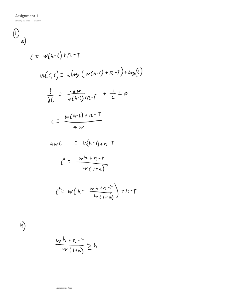 Economics Assignment 1: Consumer Choice & Intertemporal Decisions
