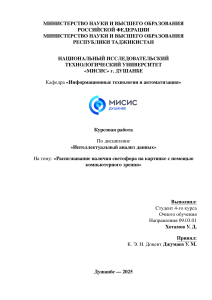 Курсовая работа: Распознавание светофора с помощью компьютерного зрения