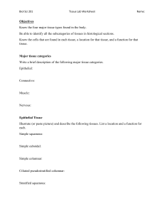 Biol Sci 201 Tissue Lab Worksheet