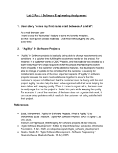 Software Engineering Assignment: User Story & Agility