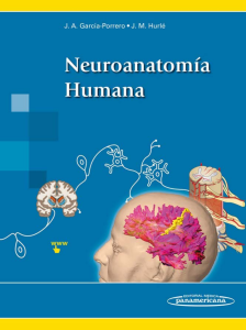 Neuroanatom&iacute;a Humana: Textbook on Human Neuroanatomy