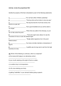 Properties of Life Worksheet: Biology Review