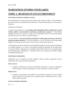 MABusiness Studies Notes: Business in Its Environment
