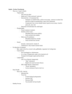 Lipids and Carbohydrates: Nutrition Basics