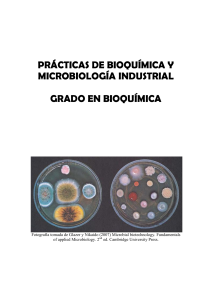 Pr&aacute;cticas de Bioqu&iacute;mica y Microbiolog&iacute;a Industrial
