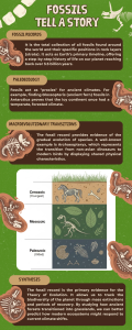 Fossils Tell a Story: Educational Infographic on Fossil Records
