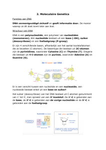 Moleculaire Genetica: DNA Structuur en Functies