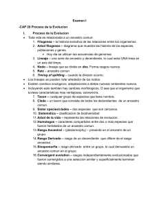 Examen I: Proceso de la Evoluci&oacute;n - Biolog&iacute;a