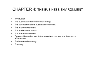 Chapter 4: The Business Environment - Micro & Macro Analysis