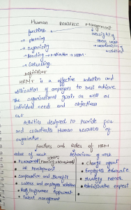 Human Resource Management: Functions & Roles Study Guide