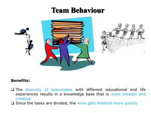 Team Behaviour: Benefits, Roles, and Development Stages