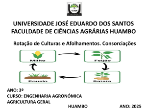 Rota&ccedil;&atilde;o de Culturas, Afolhamentos e Consorcia&ccedil;&otilde;es - Agronomia