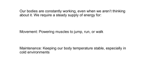 Aerobic Respiration: Biology Textbook