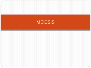 Meiosis: Homologous Chromosomes & Cell Division Study Guide