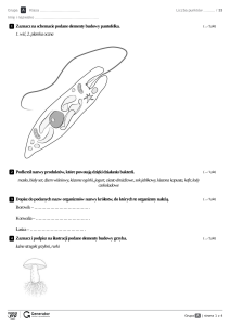 Biologia Test: Pantofelek, Bakterie, Grzyby