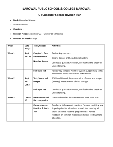 C-I Computer Science Revision Plan - Narowal School