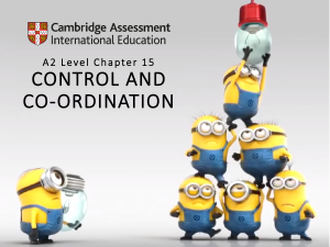 A2 Biology Chapter 15: Control and Coordination