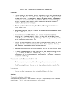 Biology Food Web Energy Pyramid Project Assignment