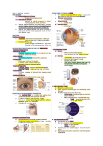 Structure of the Eye: Special Senses Unit