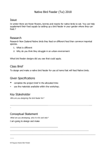 Native Bird Feeder (Tui) Design Project 2018