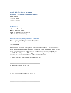 Grade 5 English Baseline Assessment