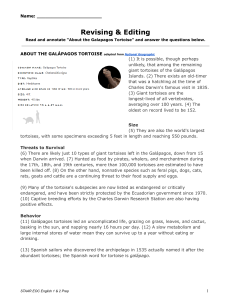 Gal&aacute;pagos Tortoise Reading Comprehension Worksheet